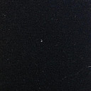 Ковролин Orotex Salsa 1961  | FLOORDEALER